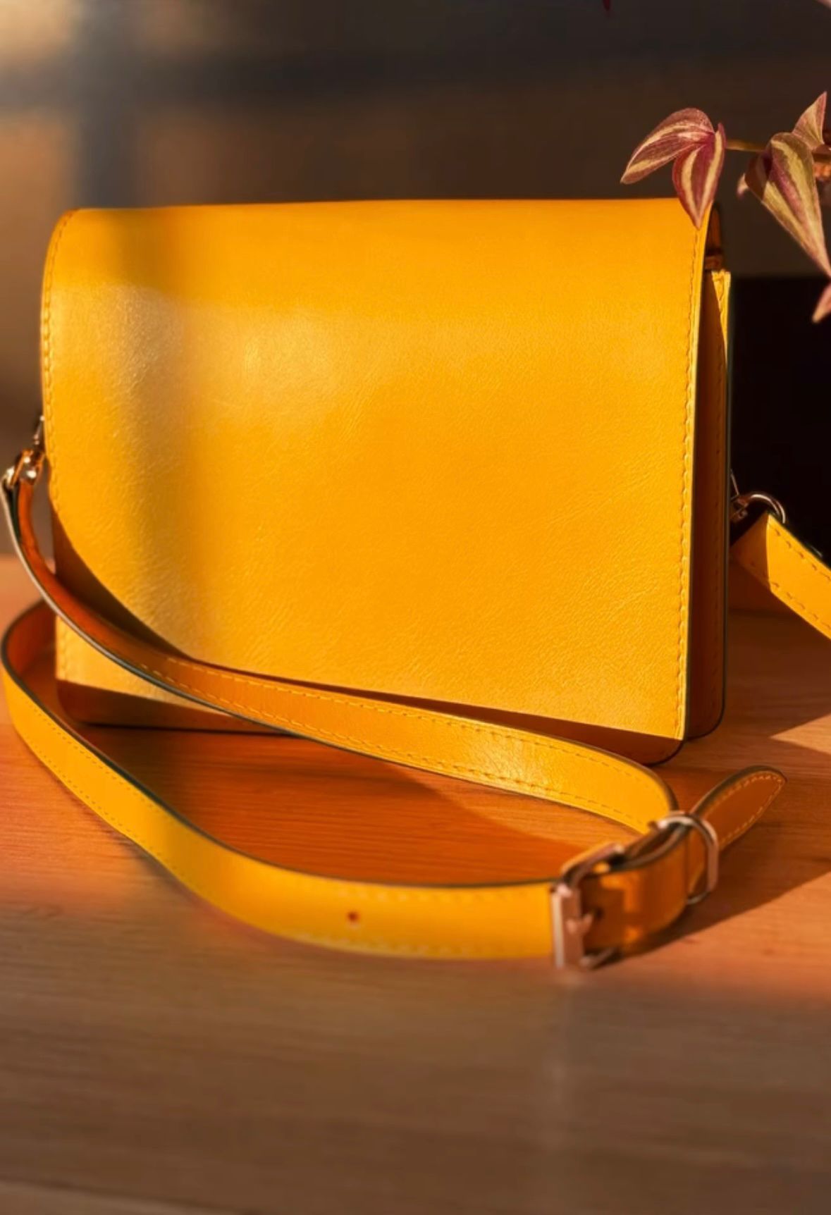 WhatsApp Image 2025-11-25 at 10.11.14 (3)